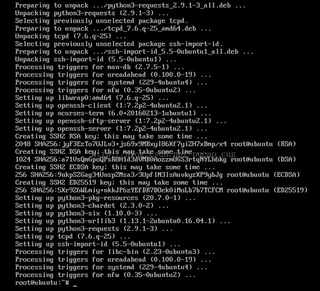 Linux系统(Ubuntu)远程连接终端连接不上怎么办