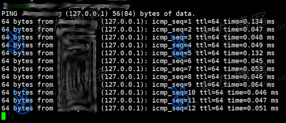 解决Linux VPS内PING域名网址显示127.0.0.1问题