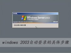 windows 2003自动登录的具体步骤有哪些？