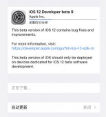 iOS 12再推更新：第九版开发者测试版来了