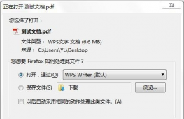 怎样解决电脑无法使用火狐浏览器预览PDF文档