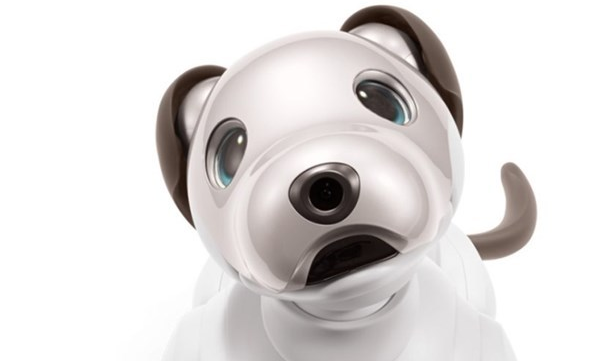 索尼机器狗Aibo推出新的巧克力配色