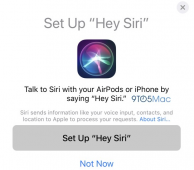 持免提“Hey Siri”语音命令 苹果iOS12.2新设置界面曝光
